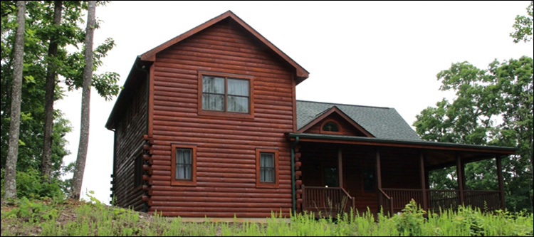 Professional Log Home Borate Application  Fort Blackmore, Virginia